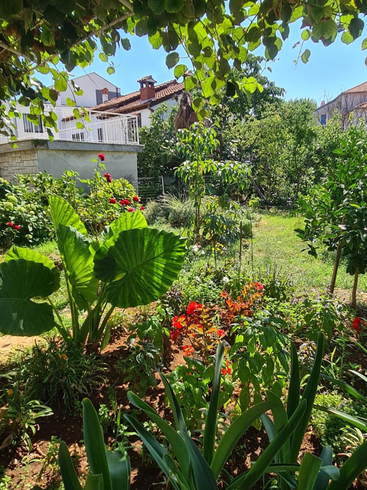 רוביני Apartments Ada מראה חיצוני תמונה